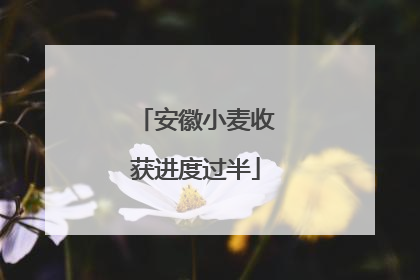 安徽小麦收获进度过半